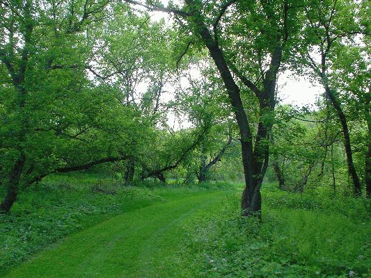 May 27, Oxbow Park, Byron MN
