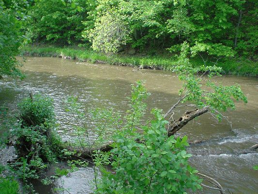 May 27, Oxbow Park, Byron MN

