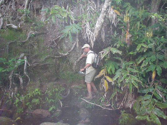 Indiana Jones
KAWAII - August 19- September 3
