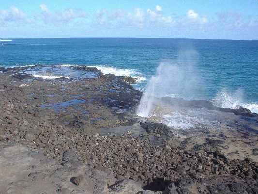 Blow Hole
KAWAII - August 19- September 3
