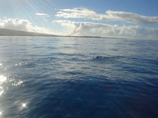 Na Pali Explorer boat tour
KAWAII - August 19- September 3
