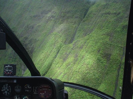 MT. Waialeala Crater (The Wettest Spot on Earth)
KAWAII - August 19- September 3
