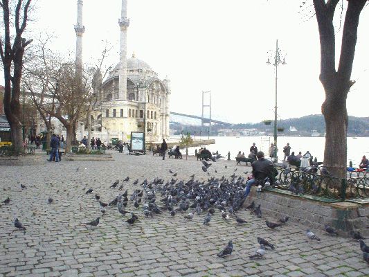 Istanbul Dec 30, 2004
Mosk at the Bosporus
