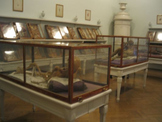 Vienna
Anatomy museum with wax specimens of 200 years old
