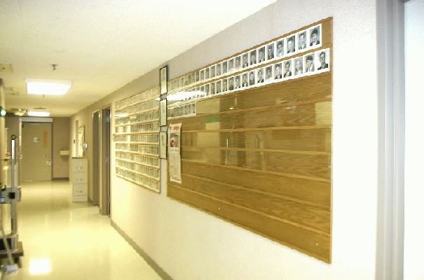 Wall of Fame
