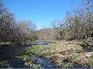 184-8402_IMG.JPG
