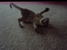 23DSC02448.JPG
