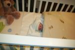 Filename=DCP_1460.JPG
Filesize=525KiB
Dimensions=1792x1184
Date added=Dec 30, 2006 DCP_1460.JPG