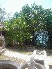 Filename=DSC00658.2.JPG
Filesize=480KiB
Dimensions=1224x1632
Date added=Jul 08, 2004 DSC00658.2.JPG