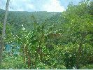 DSC00704.JPG