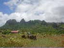 DSC00869.JPG