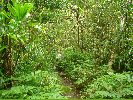 DSC00897.JPG