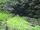 DSC00900.JPG