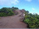 DSC00921.JPG