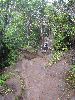 DSC00930.JPG