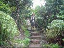 DSC00933.JPG