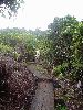 DSC00934.JPG