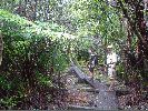 DSC00938.JPG