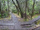DSC00939.JPG