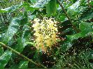 DSC00940.JPG