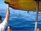 DSC00982.JPG