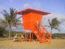 DSC01028.JPG