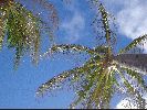 DSC01029.JPG
