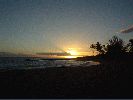 DSC01031.JPG