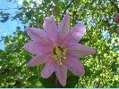 DSC01043.JPG