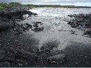 DSC01130.JPG