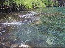 DSC01186a.JPG