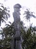 DSC01193.JPG