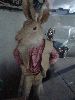 DSC01406.JPG