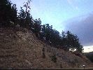 DSC01410.JPG