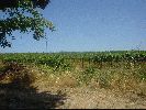 DSC02194.JPG