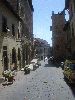 DSC02203.JPG