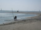 IMG_0743.JPG