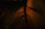 Filename=Niagra Cave II.jpg
Filesize=70KiB
Dimensions=762x503
Date added=Feb 04, 2004 Niagra Cave II.jpg