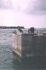Filename=florida 019.jpg
Filesize=154KiB
Dimensions=1068x1600
Date added=Jul 18, 2004 florida 019.jpg
