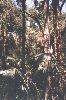 florida 025.jpg